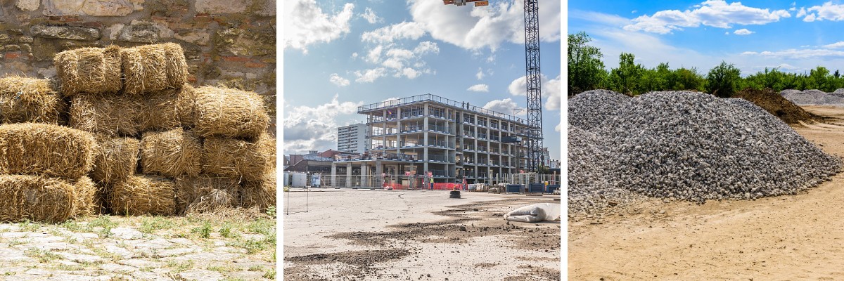 Skid Loader For Rent.jpg