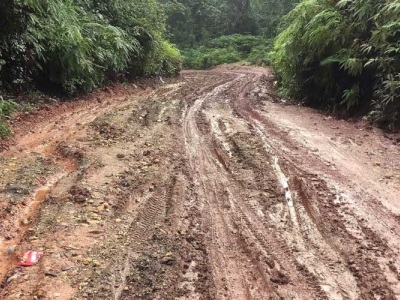 Straight Mast Rough Terrain Forklift